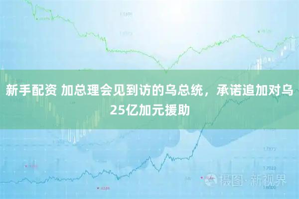 新手配资 加总理会见到访的乌总统，承诺追加对乌25亿加元援助