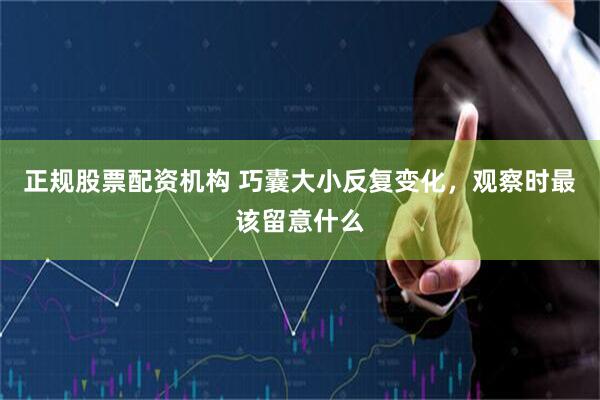 正规股票配资机构 巧囊大小反复变化，观察时最该留意什么